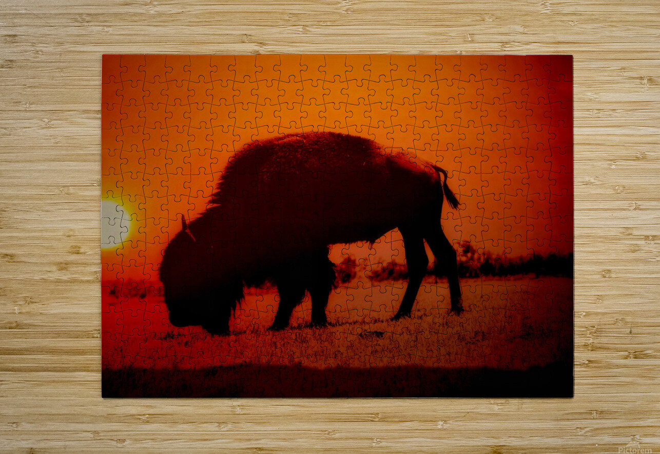 Orange Bison Sunset Sunset Chasin Adventure Photography Puzzle printing