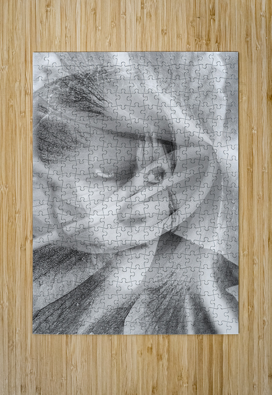 V1062 Natalie Stanislavsky Puzzle printing