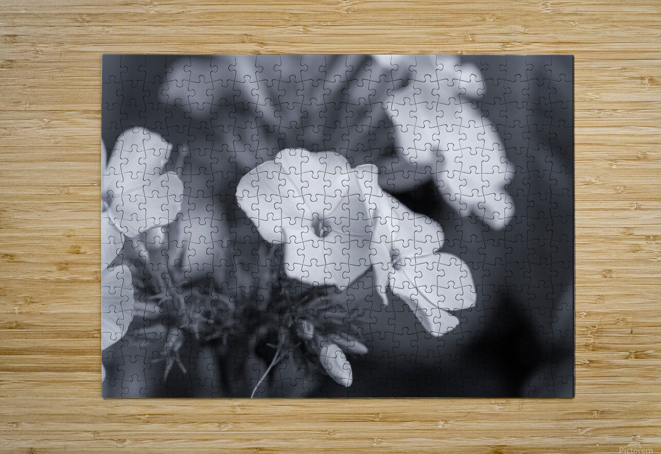 Summer Phlox Flowers Blue Tone  R Natale Photography Puzzle printing
