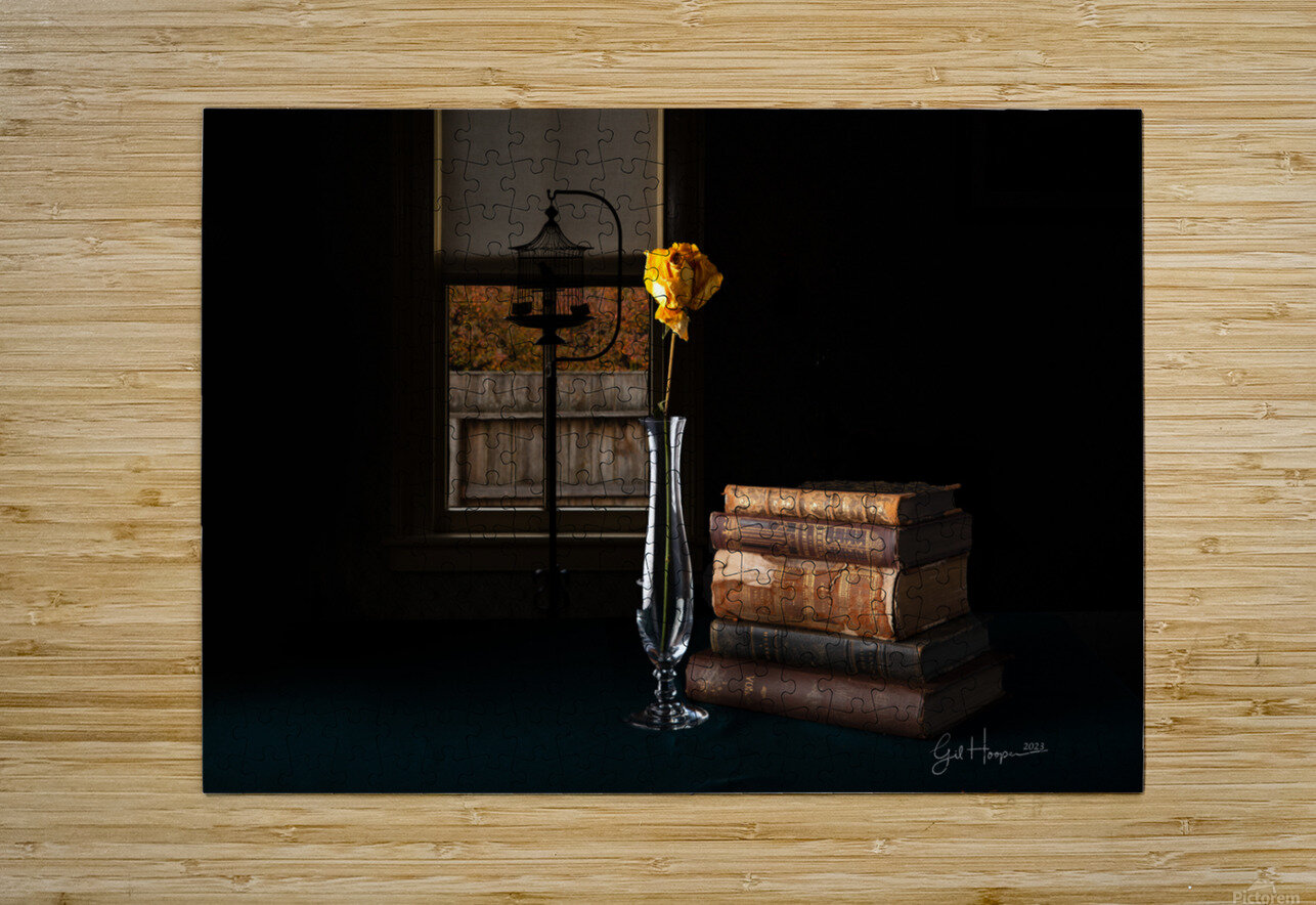 Yellow Rose by Window Gil Hooper Puzzle printing