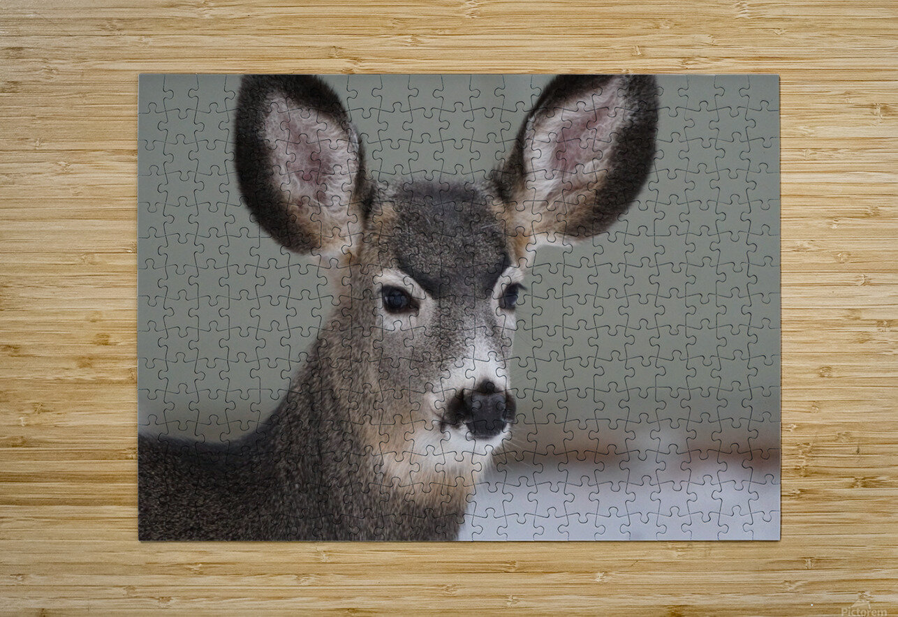 Deer Denise Thrasher Puzzle printing