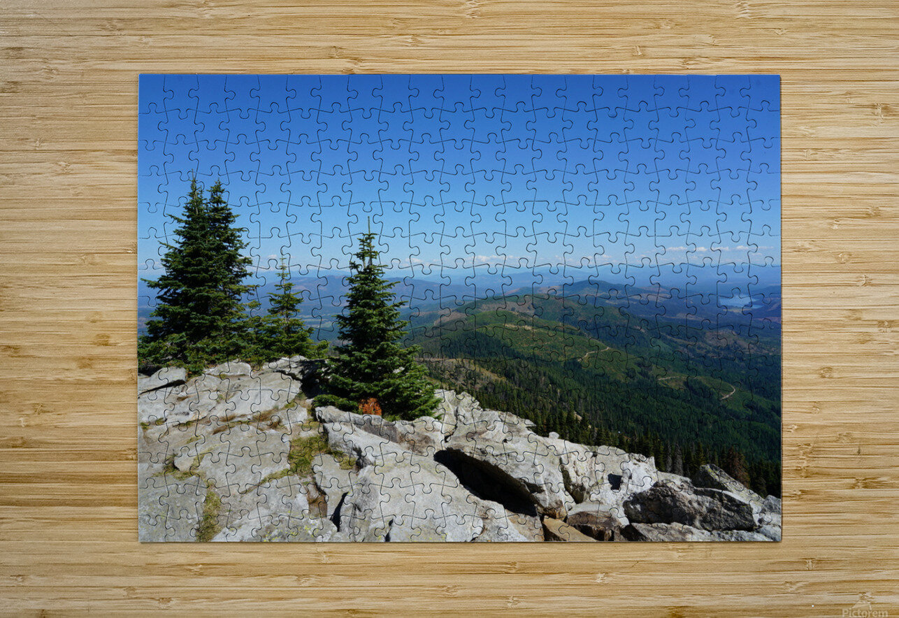 Washington Denise Thrasher Puzzle printing