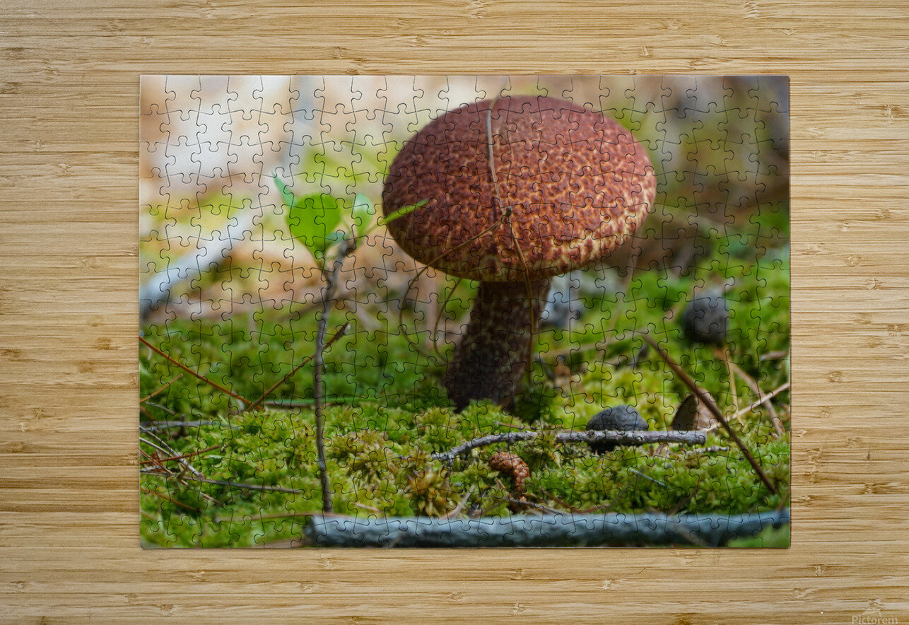 Mushroom Denise Thrasher Puzzle printing