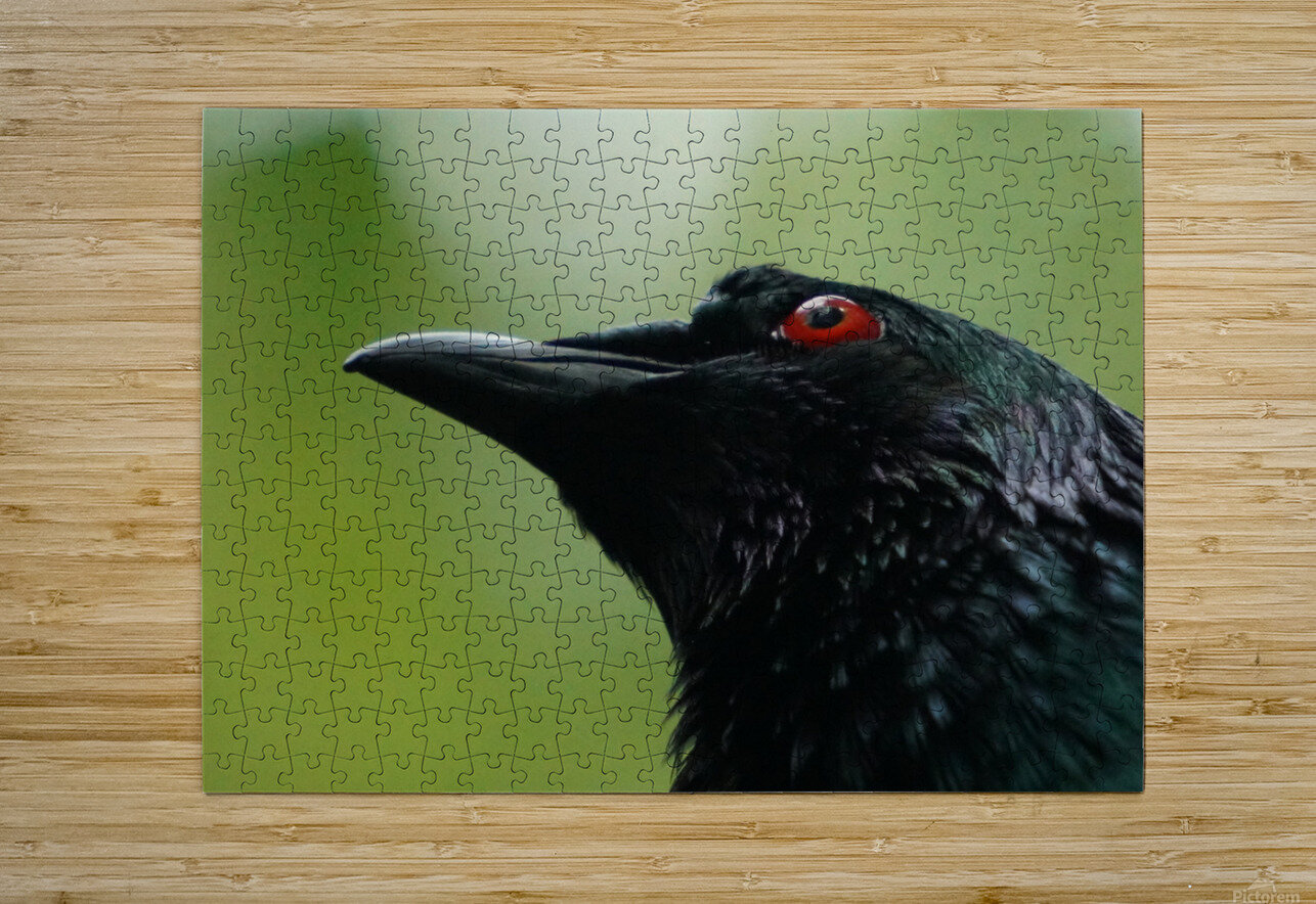 Those Eyes Denise Thrasher Puzzle printing
