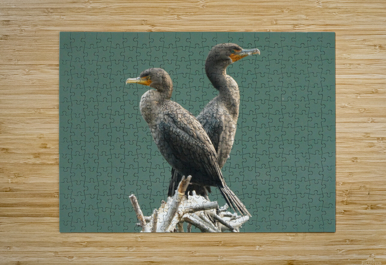 Mirror Denise Thrasher Puzzle printing