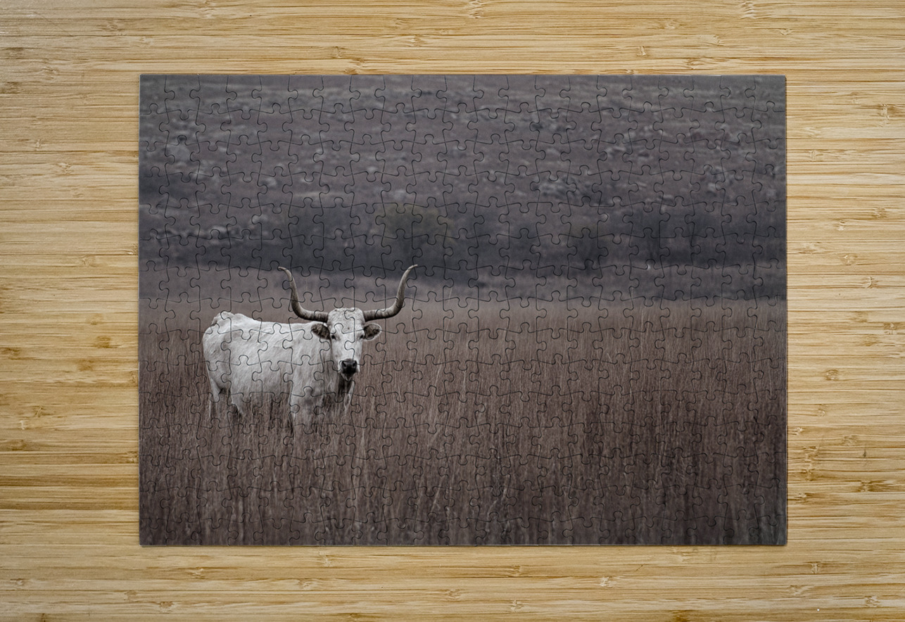 Longhorn Trey Neal  Natures Wildscapes Puzzle printing