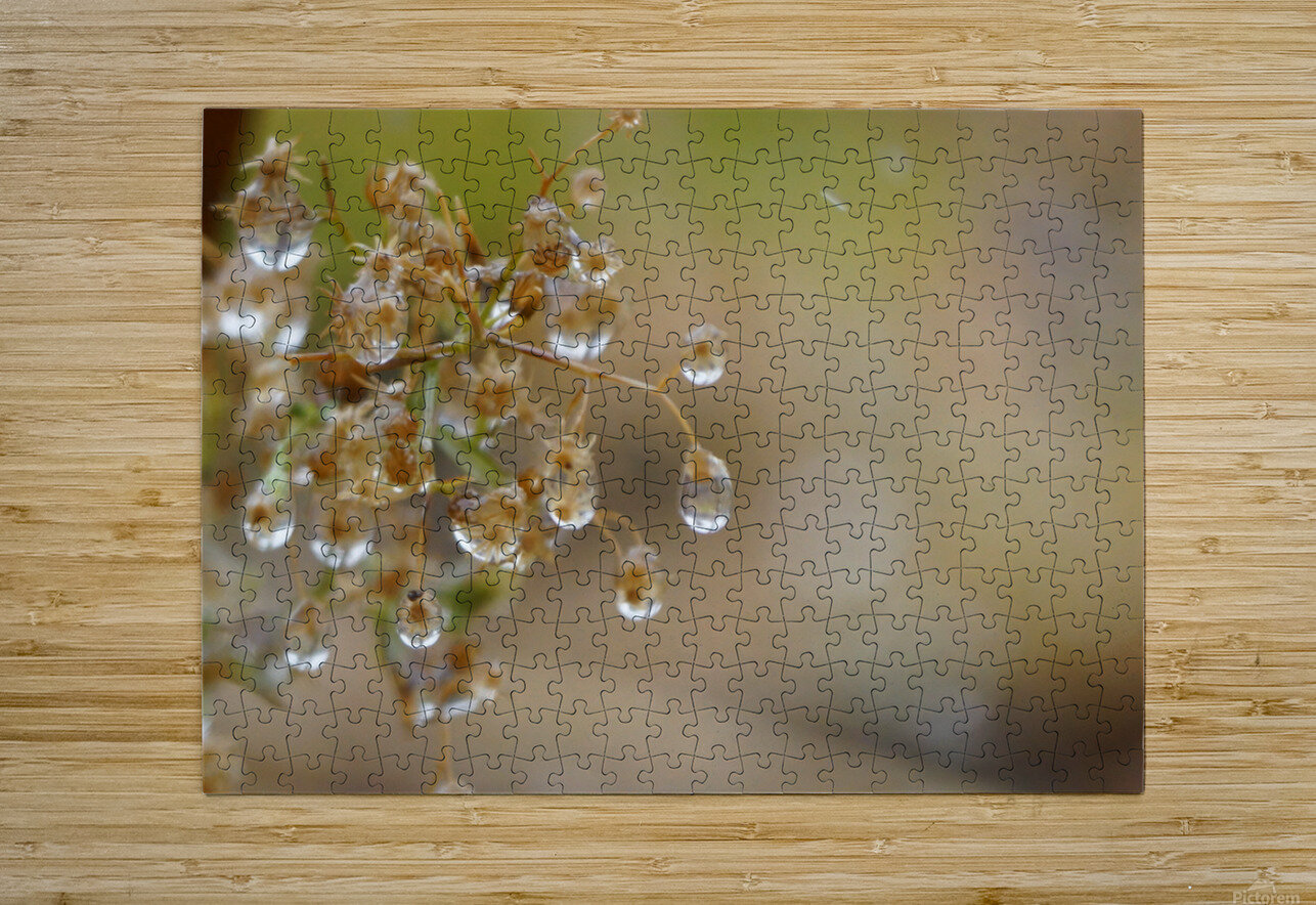 Dewy Morning Denise Thrasher Puzzle printing