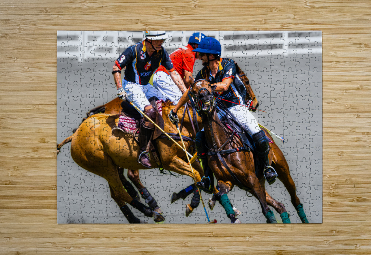 BZ9 2816 Enhanced NR Susan Lynn Cooke Puzzle printing