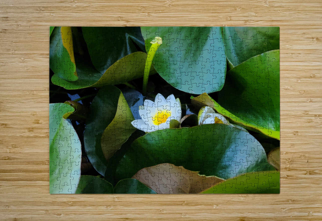 Shy Blossom in Green Embrace Click4Pix Puzzle printing