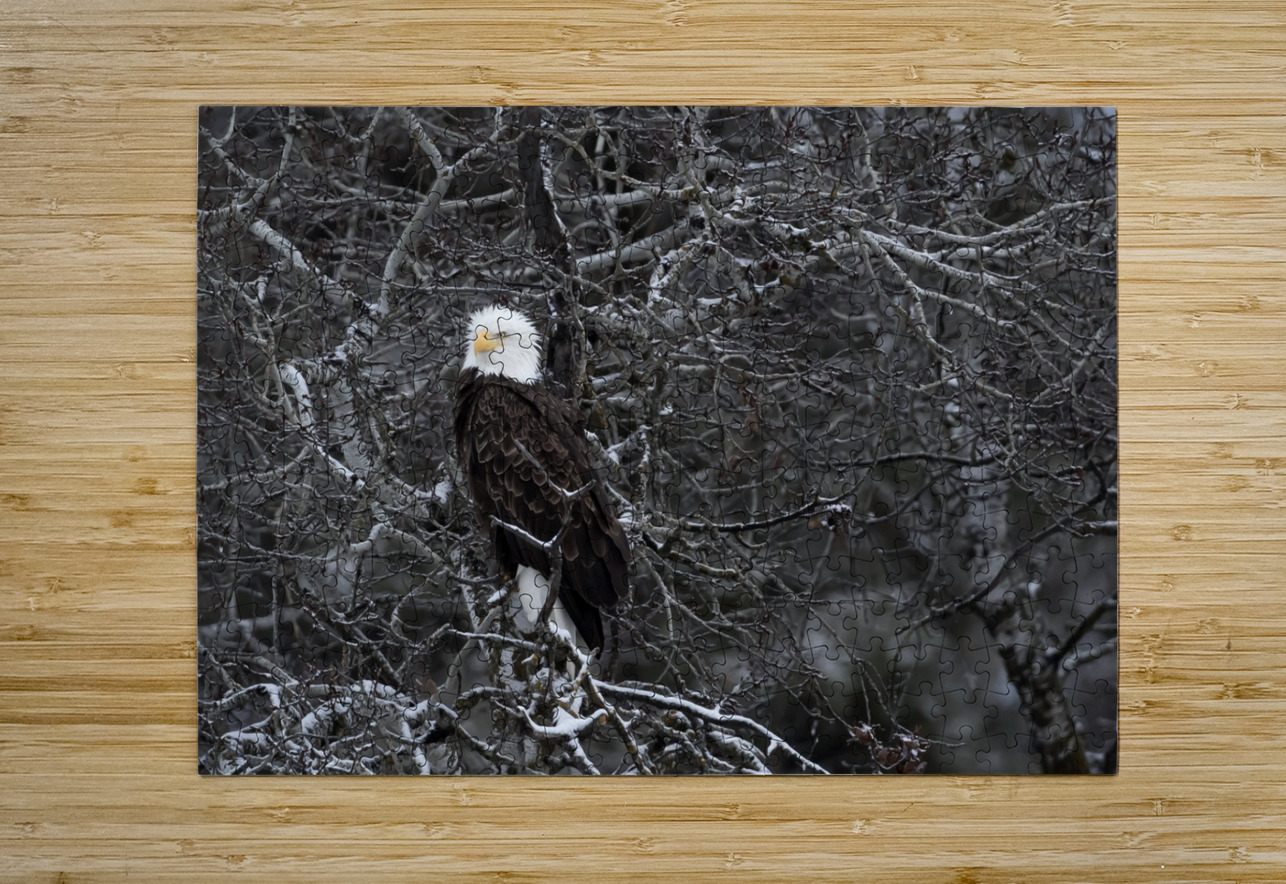 DESPERADO - The Eagle Kevin Smith Puzzle printing