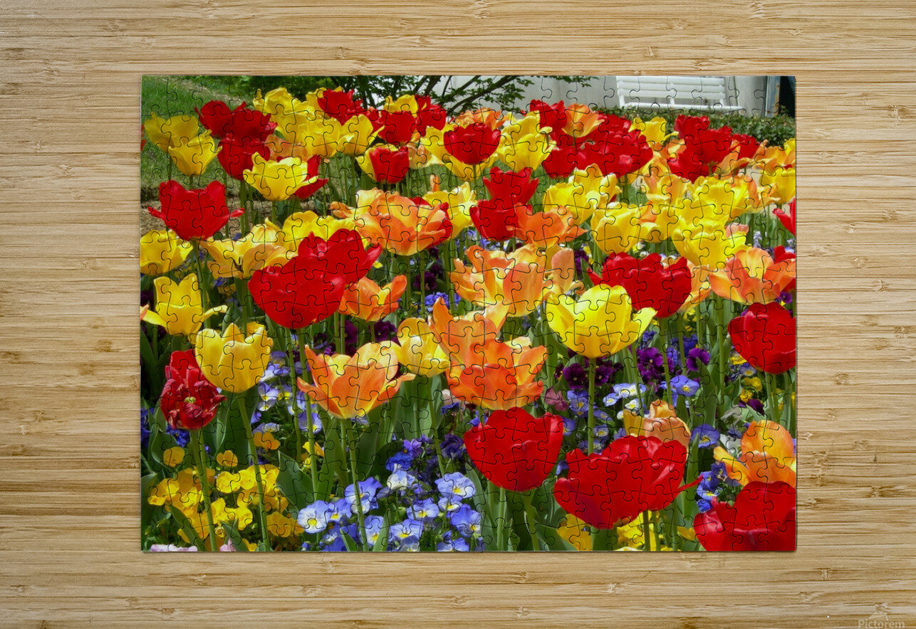 Tulip Garden Katherine Lindsey Photography Puzzle printing