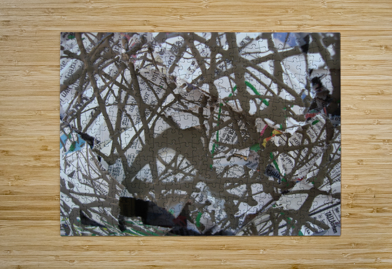 Chronicle Luciano Puzzle printing