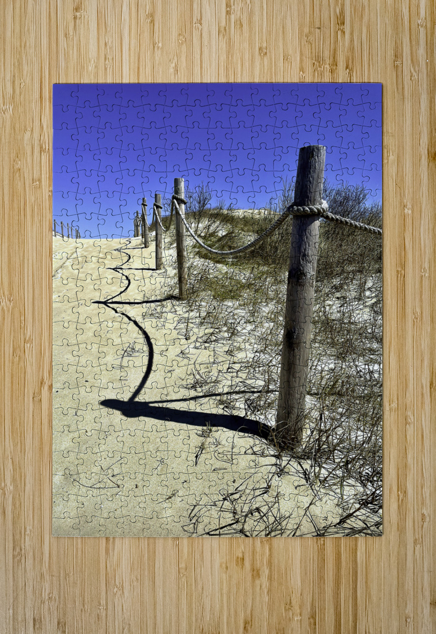 Pathway Across a Dune to the Beach Bill Swartwout Photography Puzzle printing