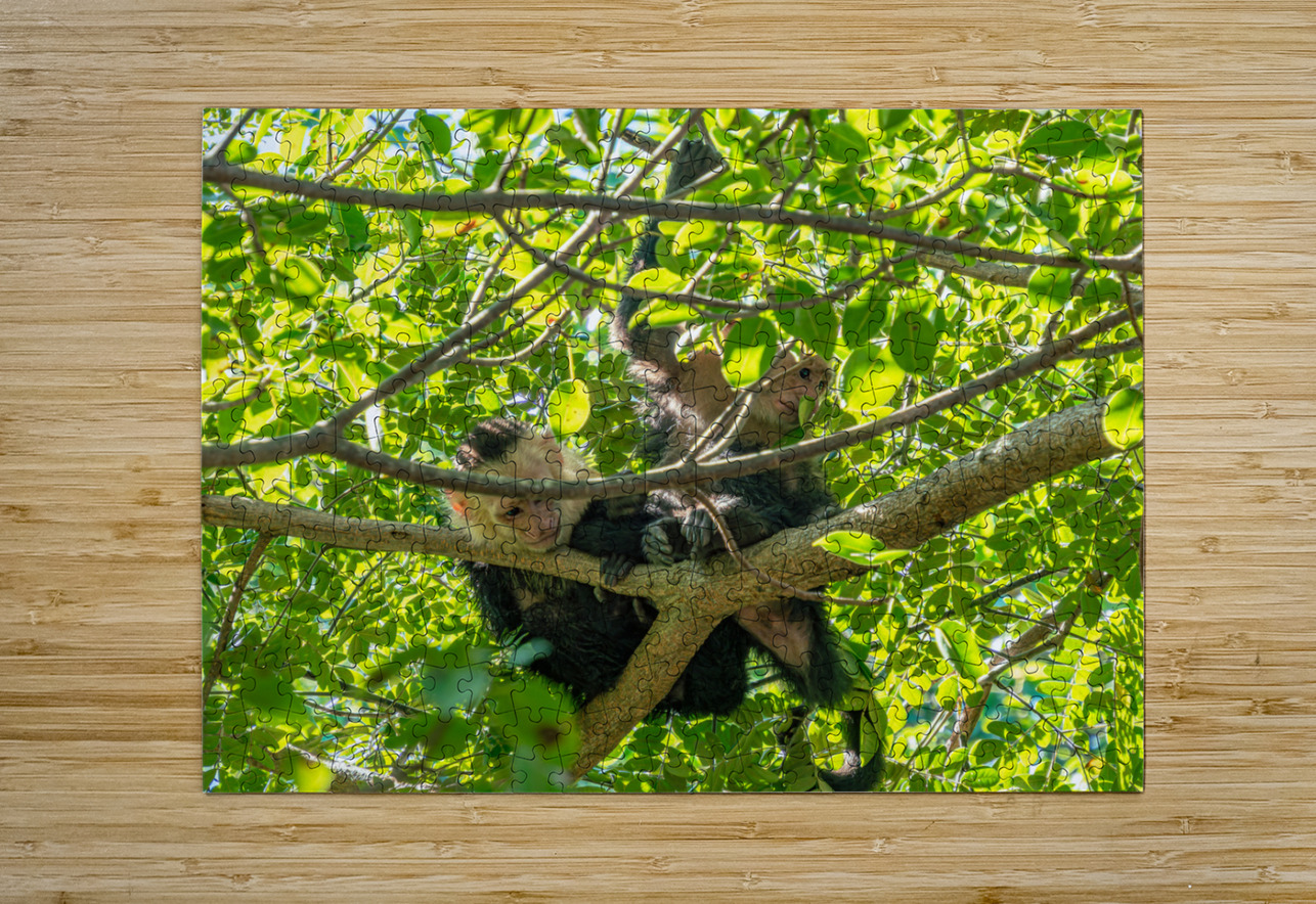 CRW 009 Rafael Puzzle printing