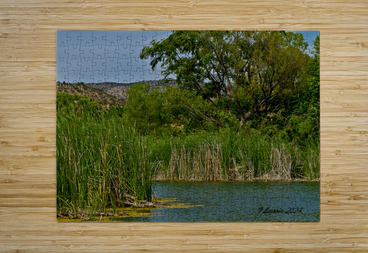 Arizona walking around Sedona 4 Tony Lacroix Puzzle printing