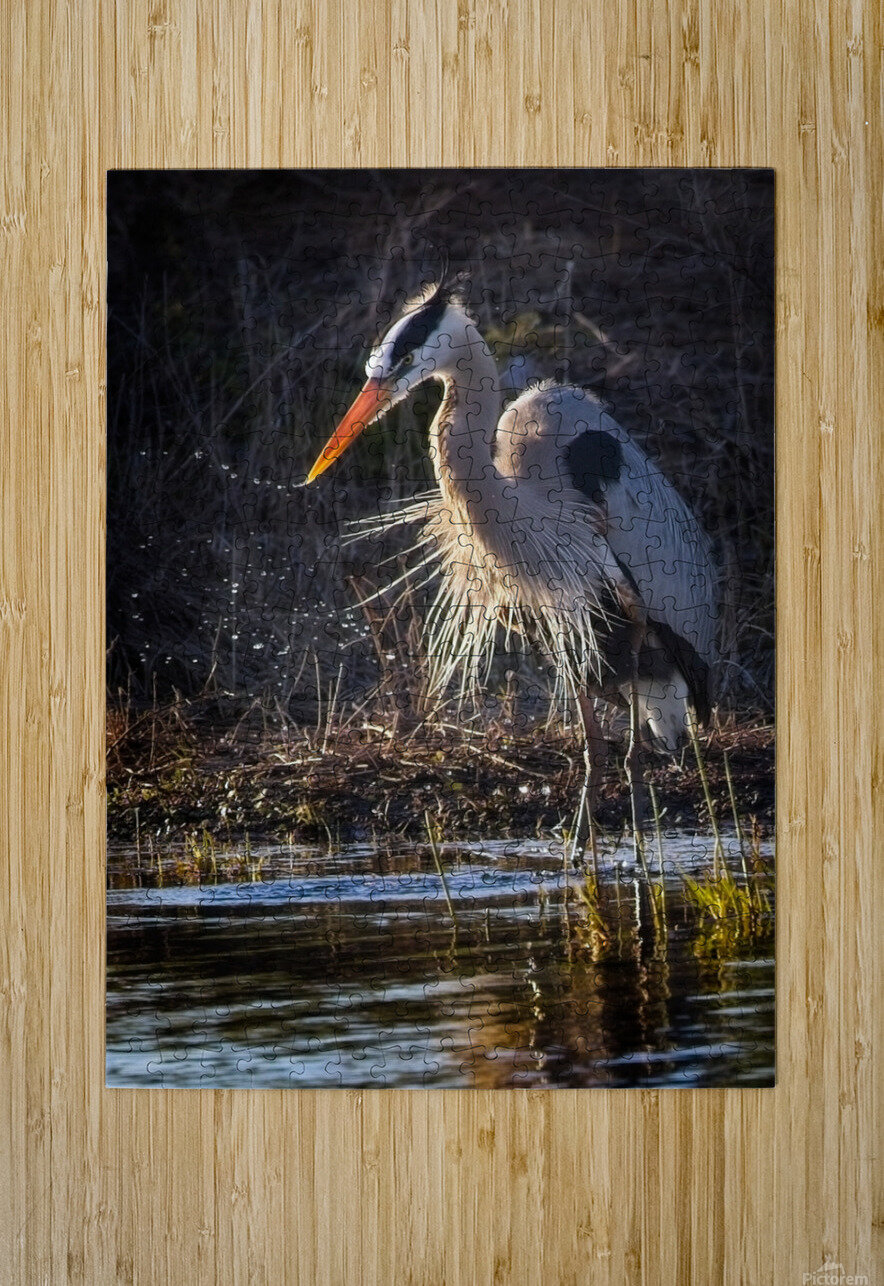 GreatBlueHeron David E Francey Photography Puzzle printing