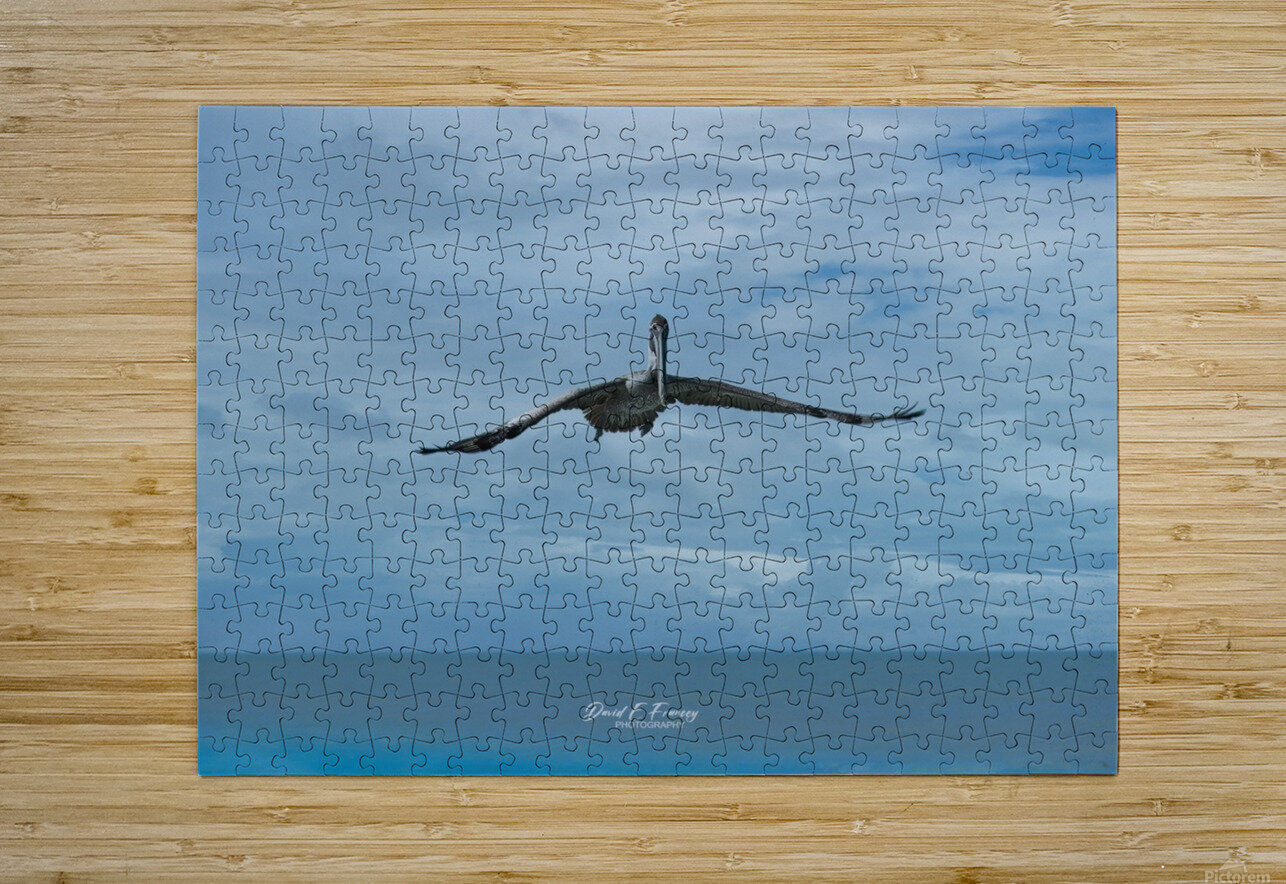 Pelican3 David E Francey Photography Puzzle printing
