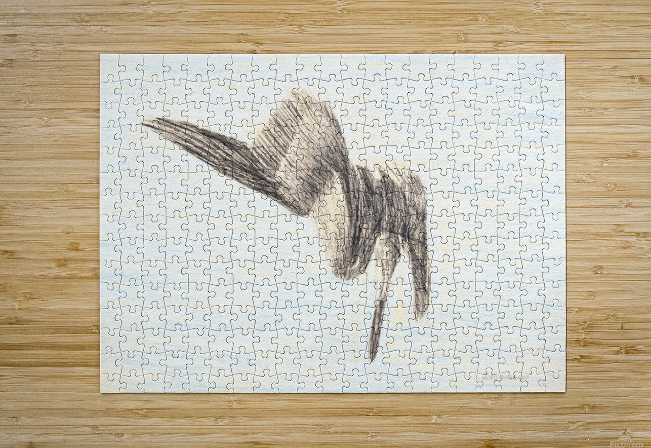 PelicanSketch3 David E Francey Photography Puzzle printing
