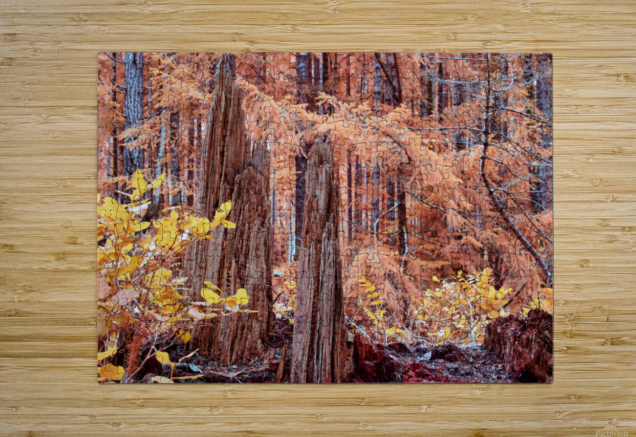 Cycle Of Growth and Decay CRB Images Photography Puzzle printing