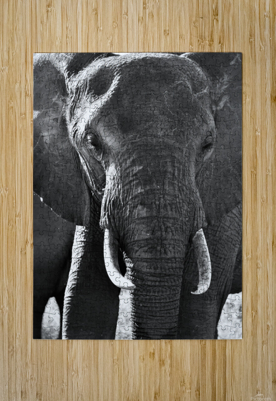 DSC 7276 Gary Leigh Brown Puzzle printing