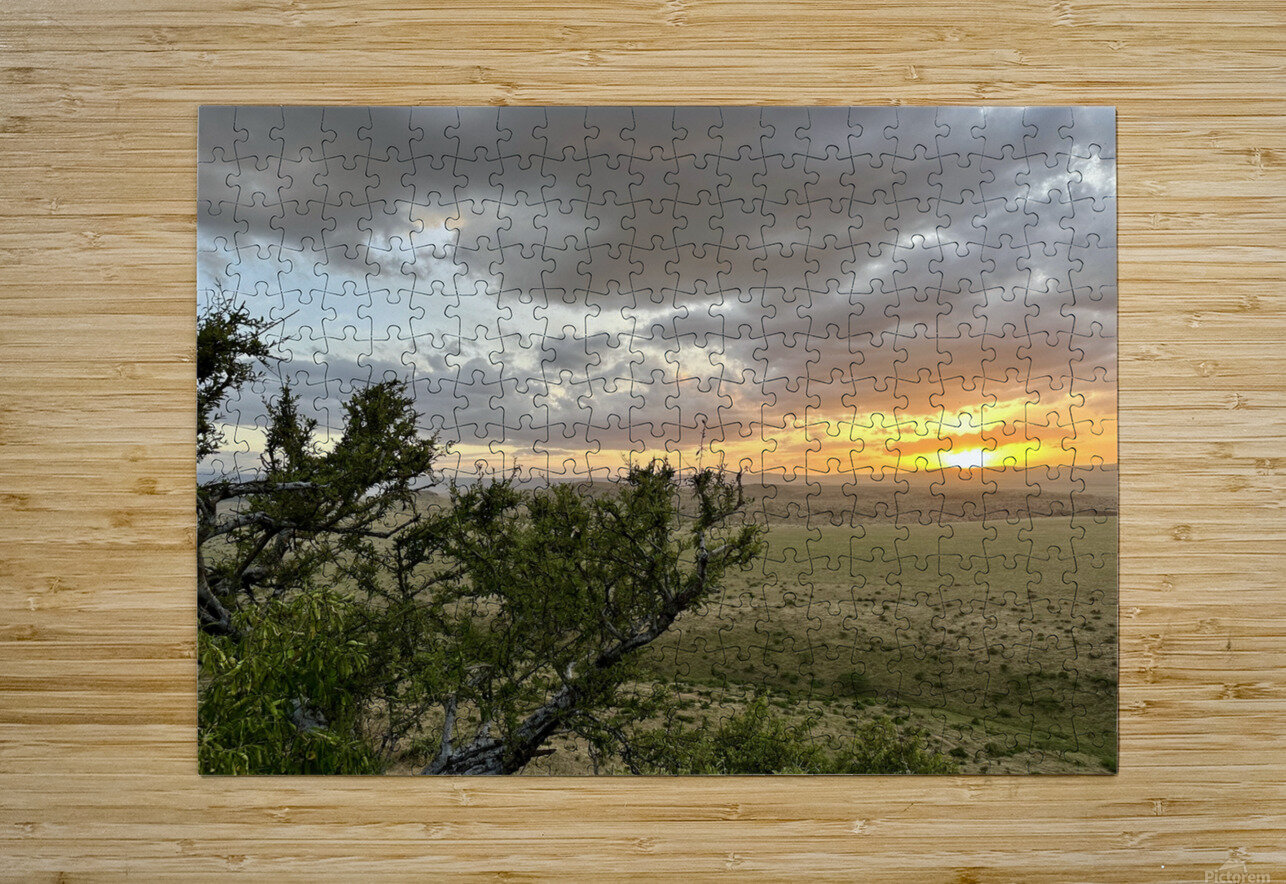 IMG 7229 Gary Leigh Brown Puzzle printing