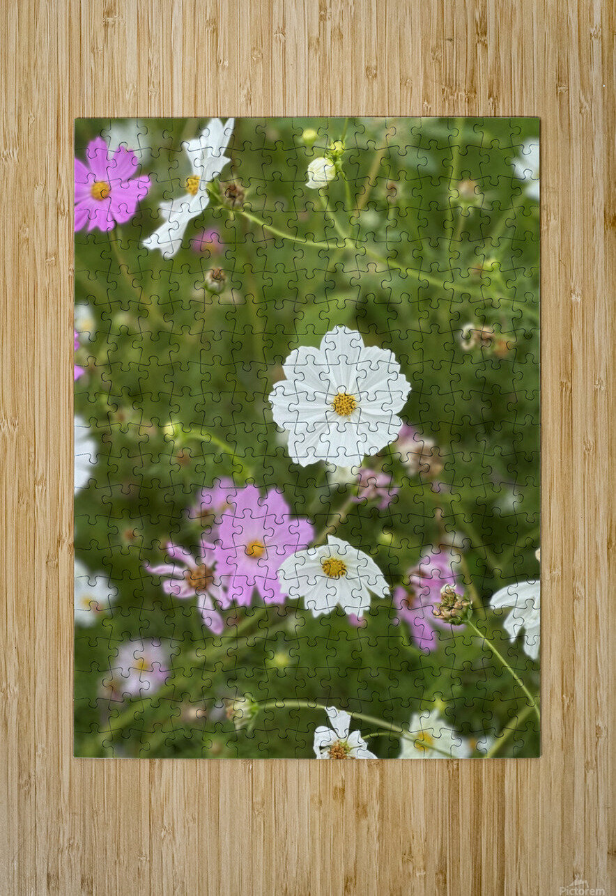 IMG 7088 Gary Leigh Brown Puzzle printing