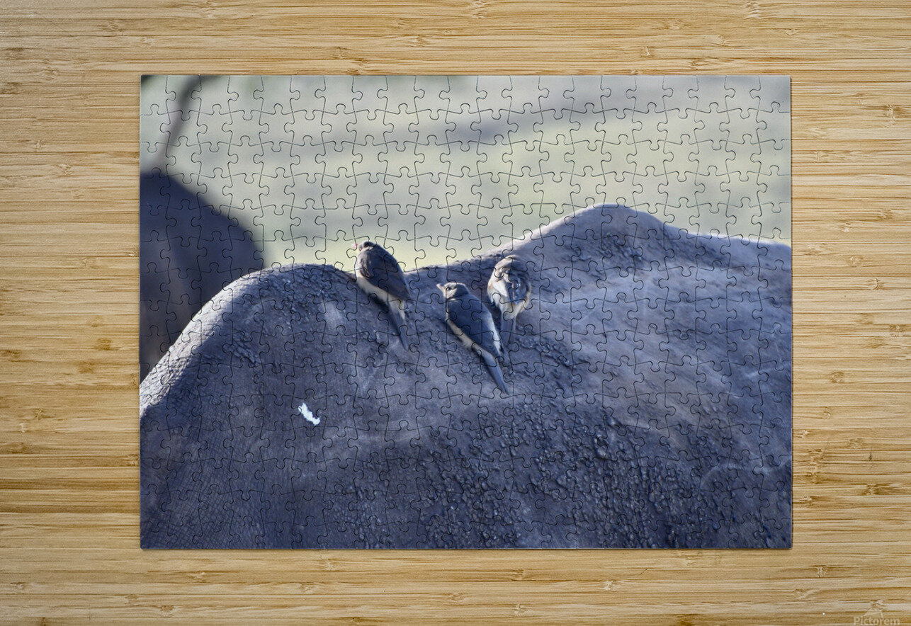 DSC 6682 Gary Leigh Brown Puzzle printing