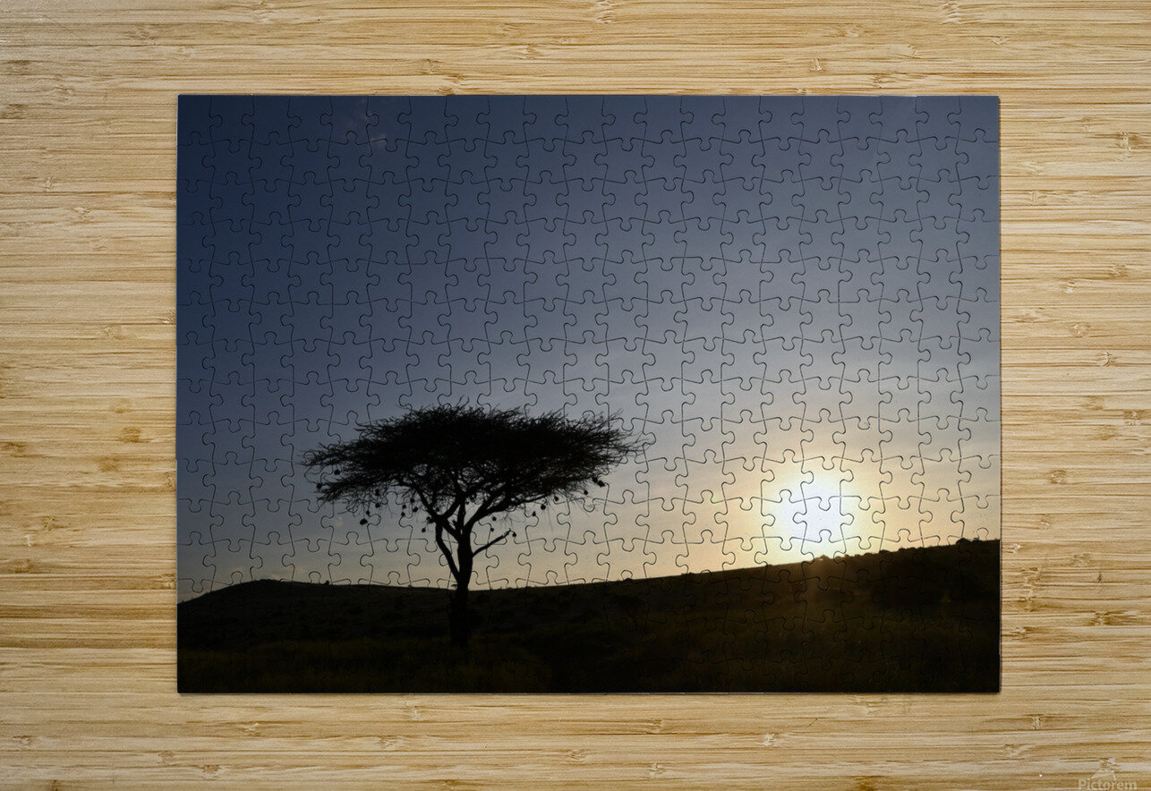 DSC 7211 Gary Leigh Brown Puzzle printing