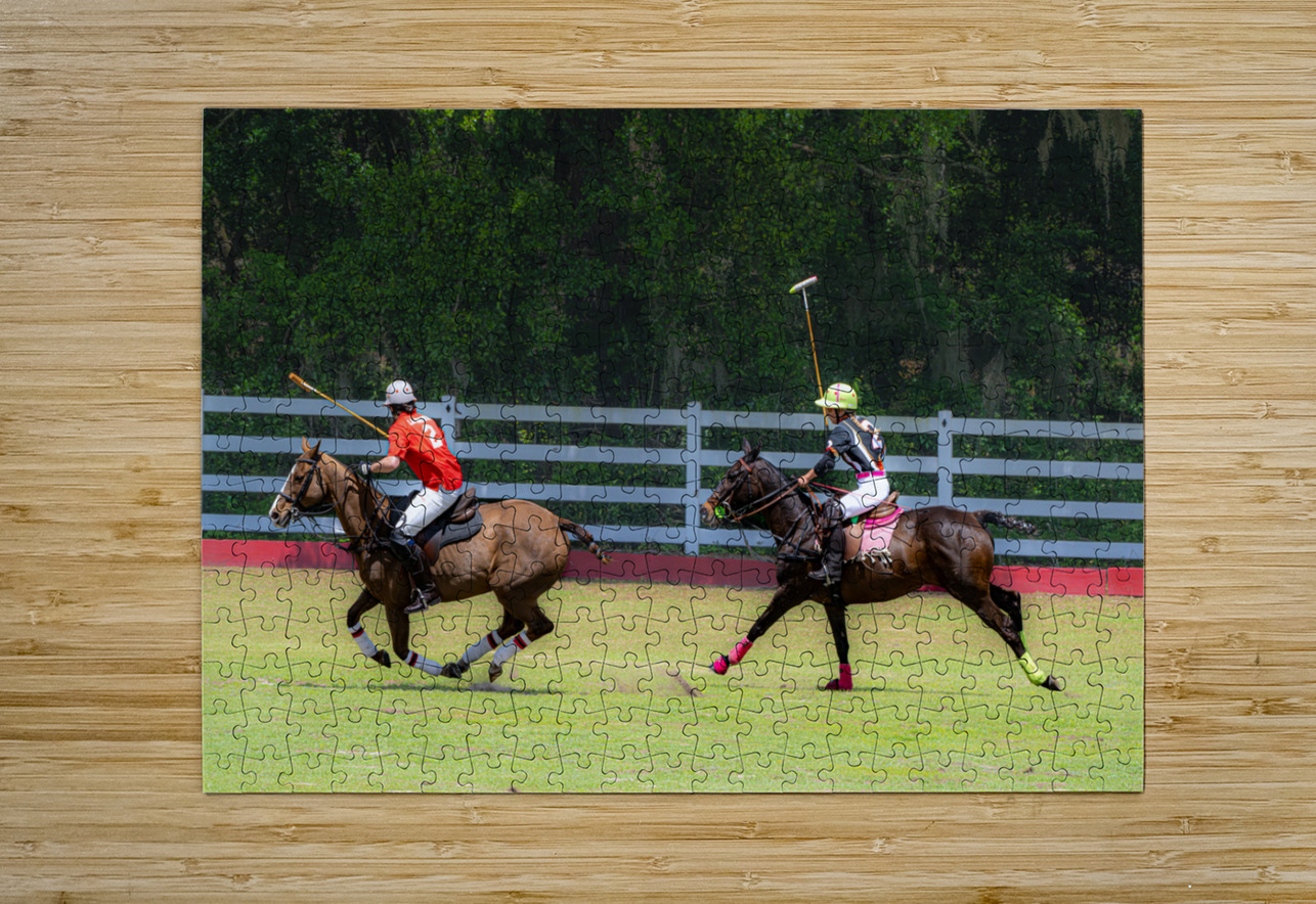 BZ9 2607 Enhanced NR Susan Lynn Cooke Puzzle printing