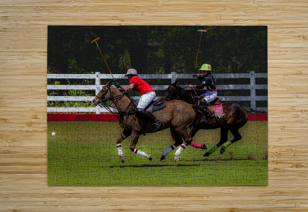 BZ9 2625 Enhanced NR Susan Lynn Cooke Puzzle printing