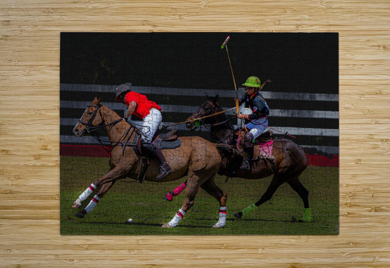 BZ9 2622 Enhanced NR Susan Lynn Cooke Puzzle printing