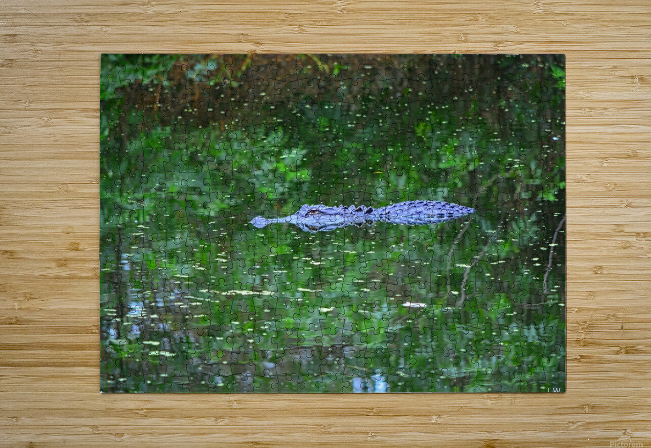  Camouflage Alligator Lisa Wooten Photography Puzzle printing