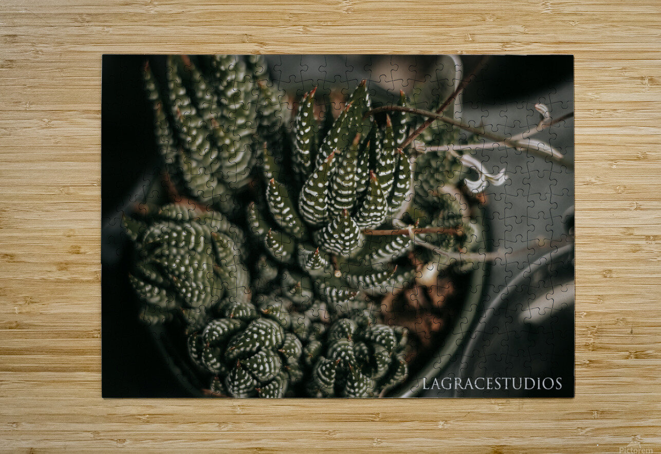 PHYTOLOGICAL_101 laGraceStudios Puzzle printing