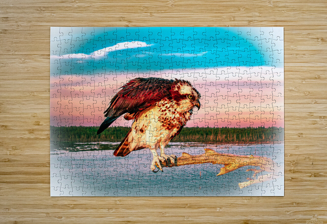 Care a Lot Osprey Hunter Wade Puzzle printing