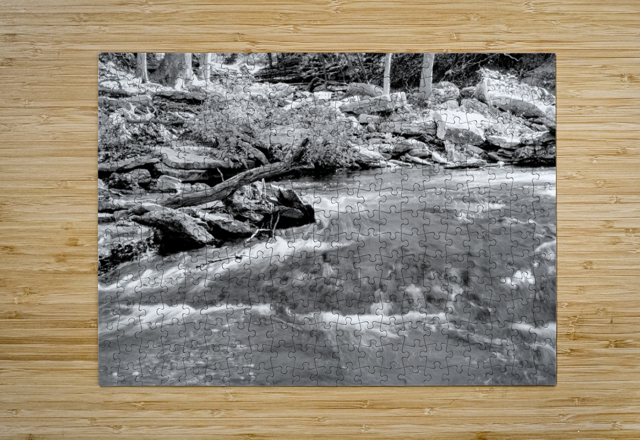 Tanyard Creek Rushing Water Grayscale Jennifer White Puzzle printing