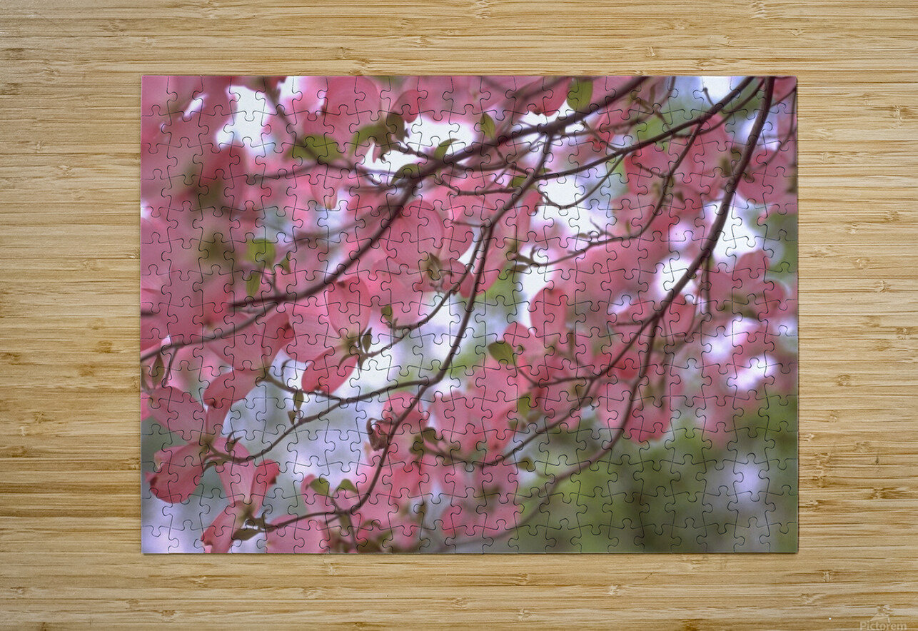 Pink Dogwoods Katherine Lindsey Photography Puzzle printing