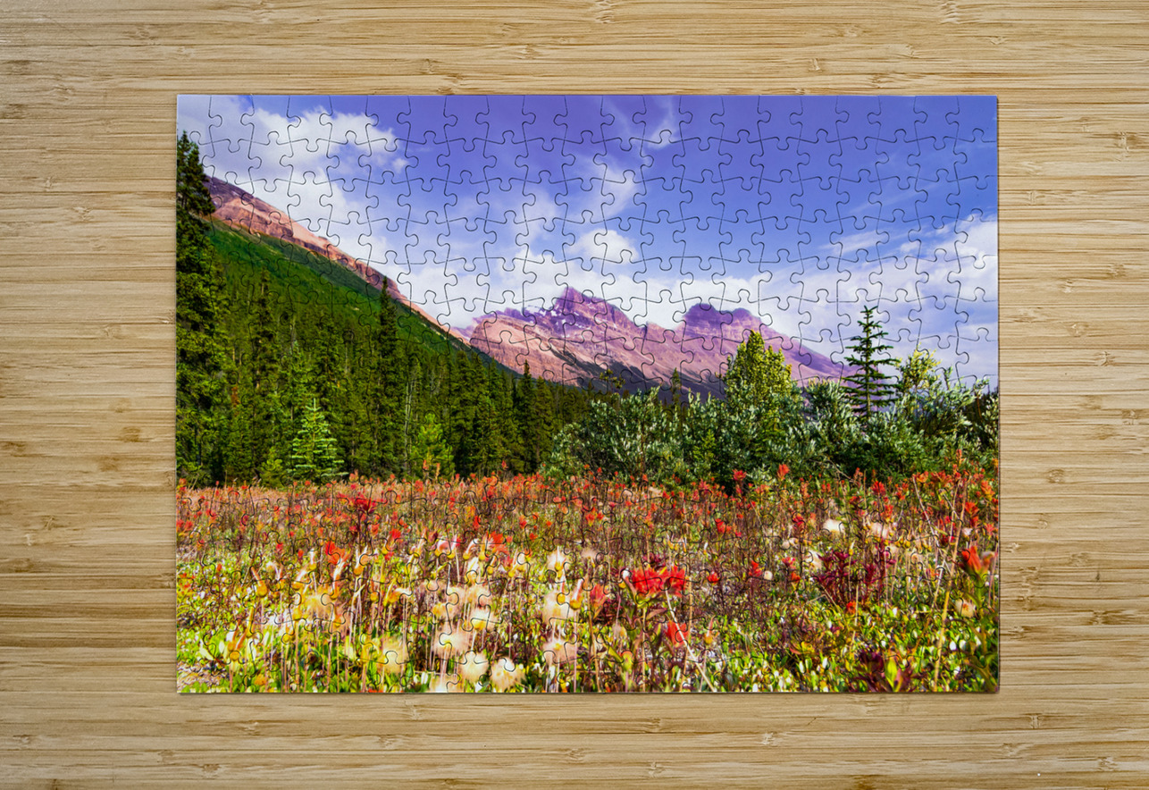 Canadian Rocky Mountain Indian Paintbrush Norma Brandsberg Photography Puzzle printing