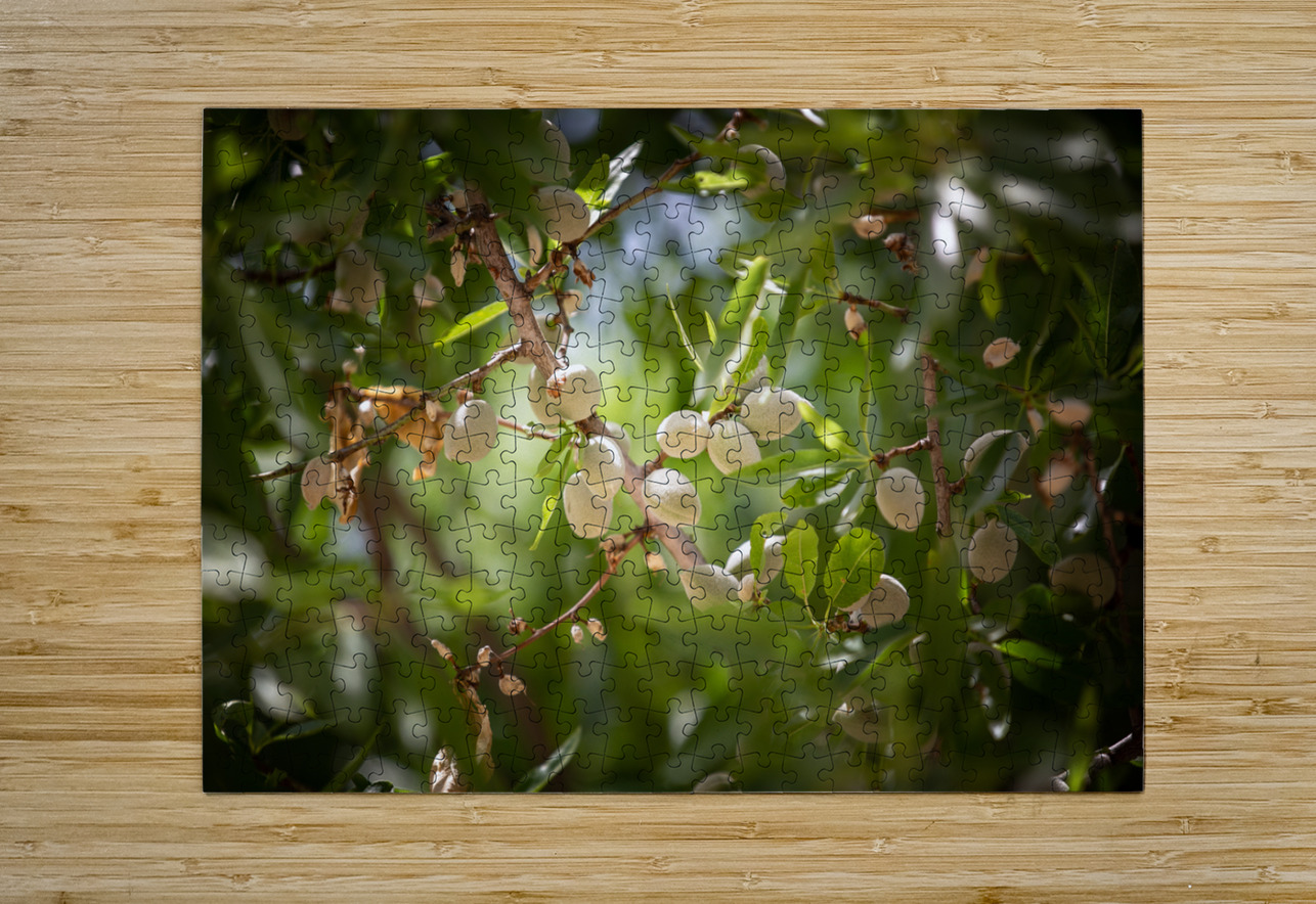 PIC17054 YoelKoskasFineArt Puzzle printing