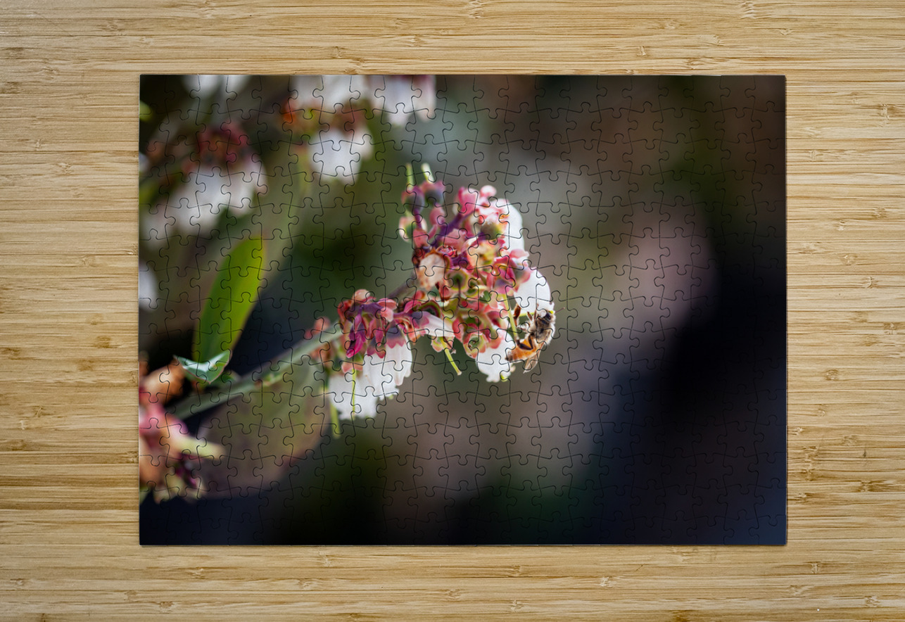 IMG 1002 YoelKoskasFineArt Puzzle printing