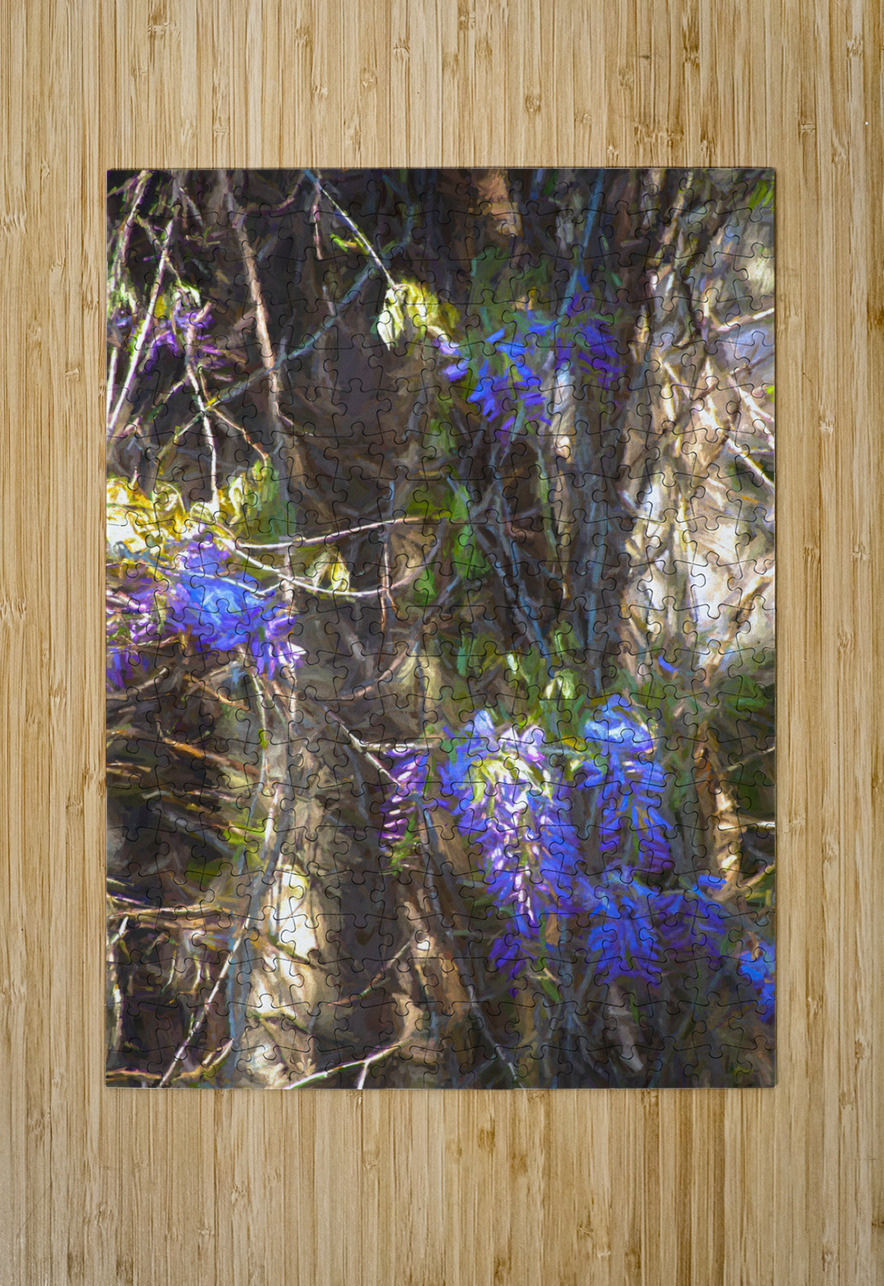 DSC 2636 studio Elizabeth Lima Images Puzzle printing