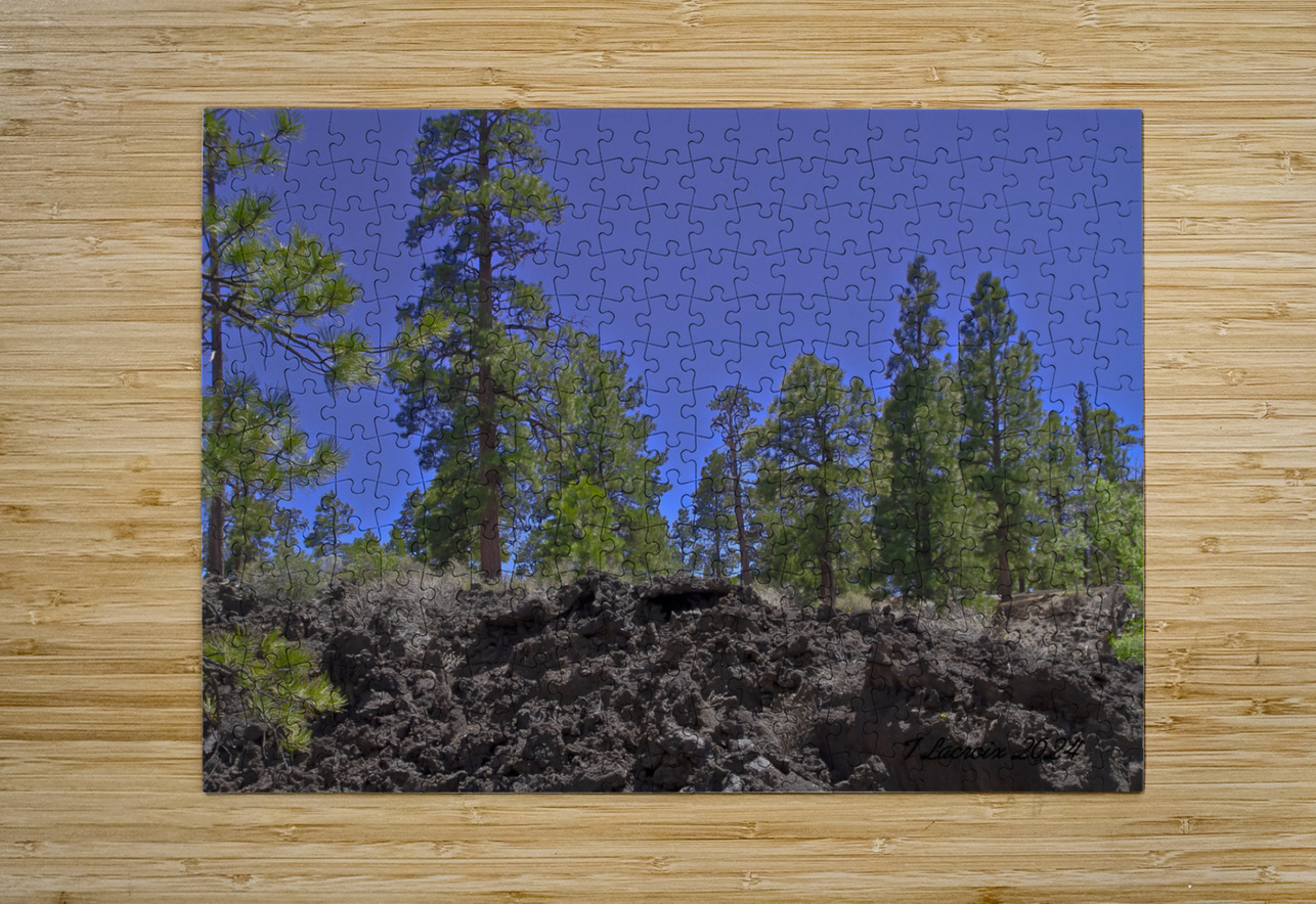 Sunset Crater Volcano National Monument AZ 46 36. Tony Lacroix Puzzle printing