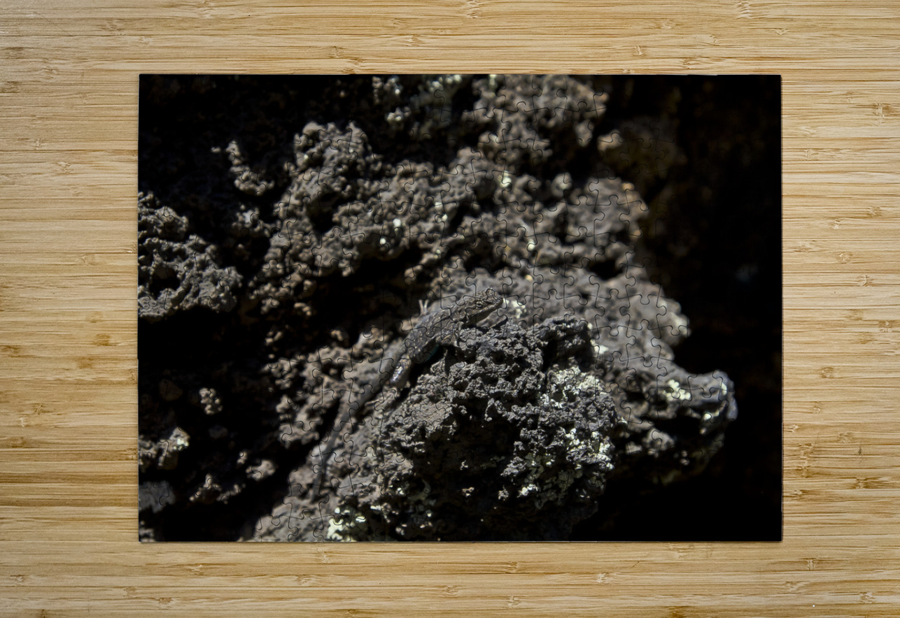 Sunset Crater Volcano National Monument AZ 46 11. Tony Lacroix Puzzle printing