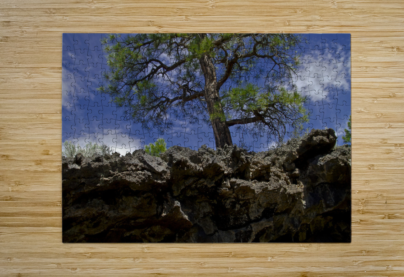 Sunset Crater Volcano National Monument AZ 46 15. Tony Lacroix Puzzle printing