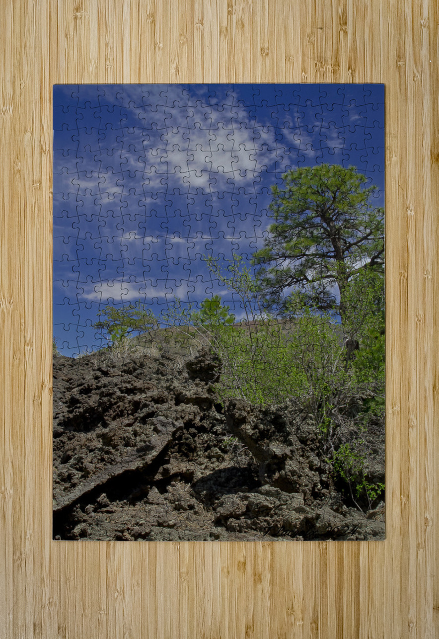 Sunset Crater Volcano National Monument AZ 46 22. Tony Lacroix Puzzle printing