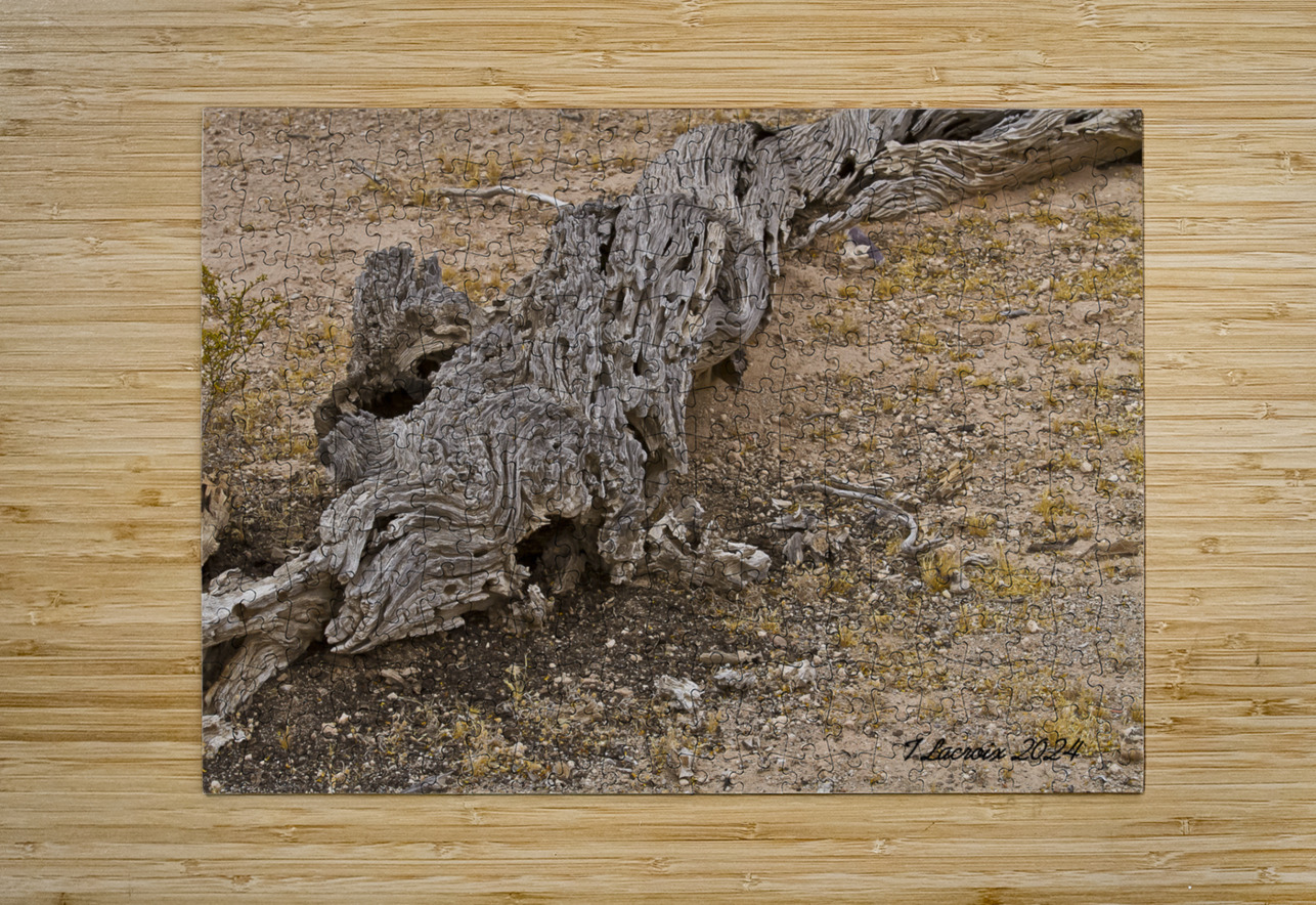 Casa Grande Ruins National Monument AZ 72 Tony Lacroix Puzzle printing