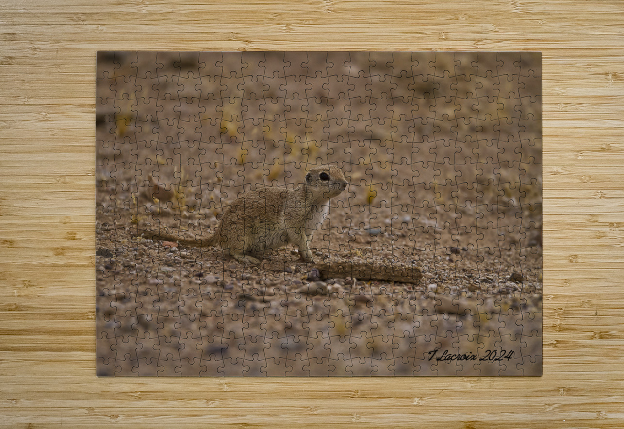 Casa Grande Ruins National Monument AZ 111 Tony Lacroix Puzzle printing