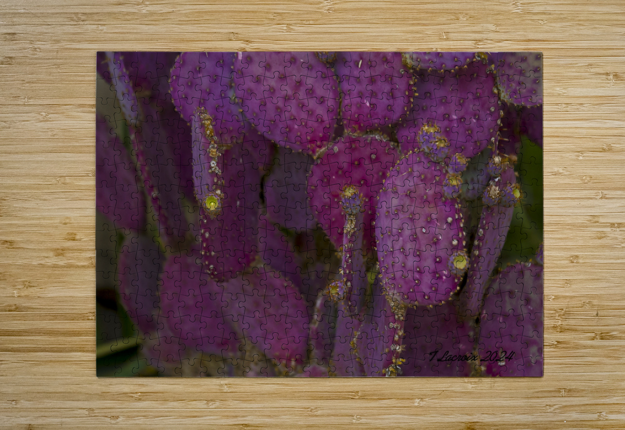 Casa Grande Ruins National Monument AZ 115 Tony Lacroix Puzzle printing