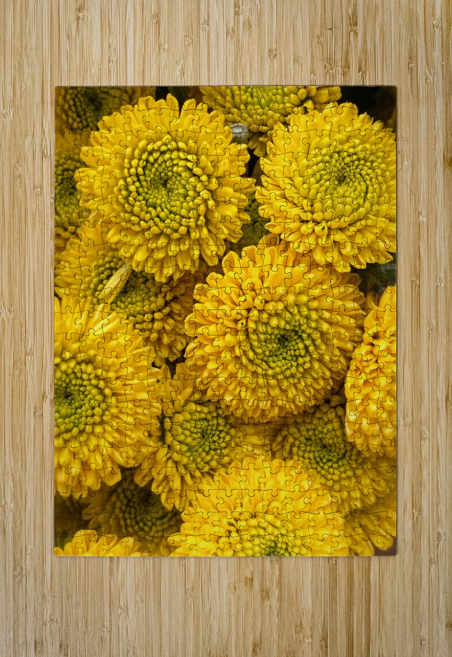 V1092 Natalie Stanislavsky Puzzle printing