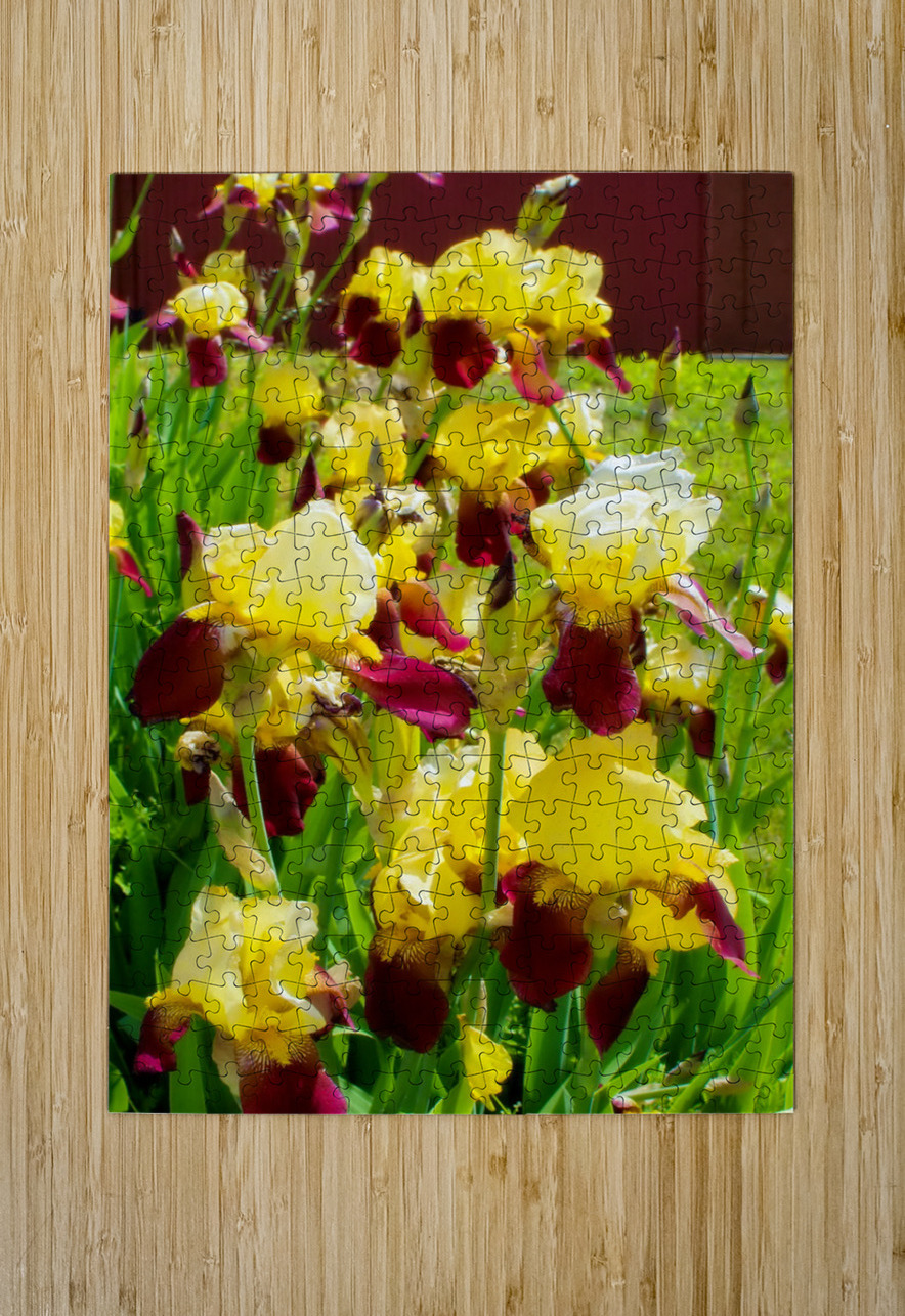 DSC 6499 1 2 Elizabeth Lima Images Puzzle printing