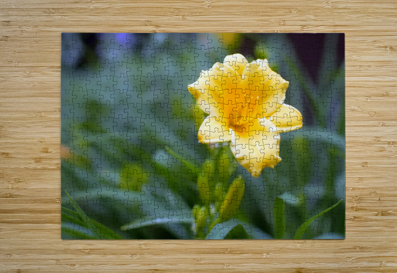 DSC 7633 1 Elizabeth Lima Images Puzzle printing